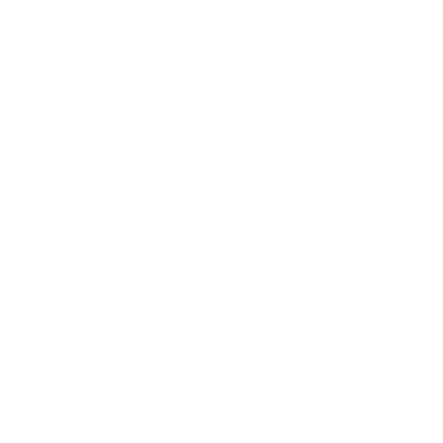 Icon Telefon